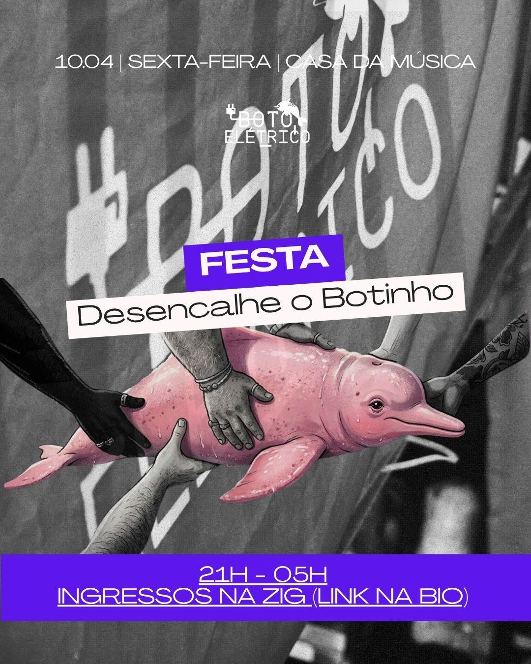 Festa: Desencalhe o Boto Elétrico