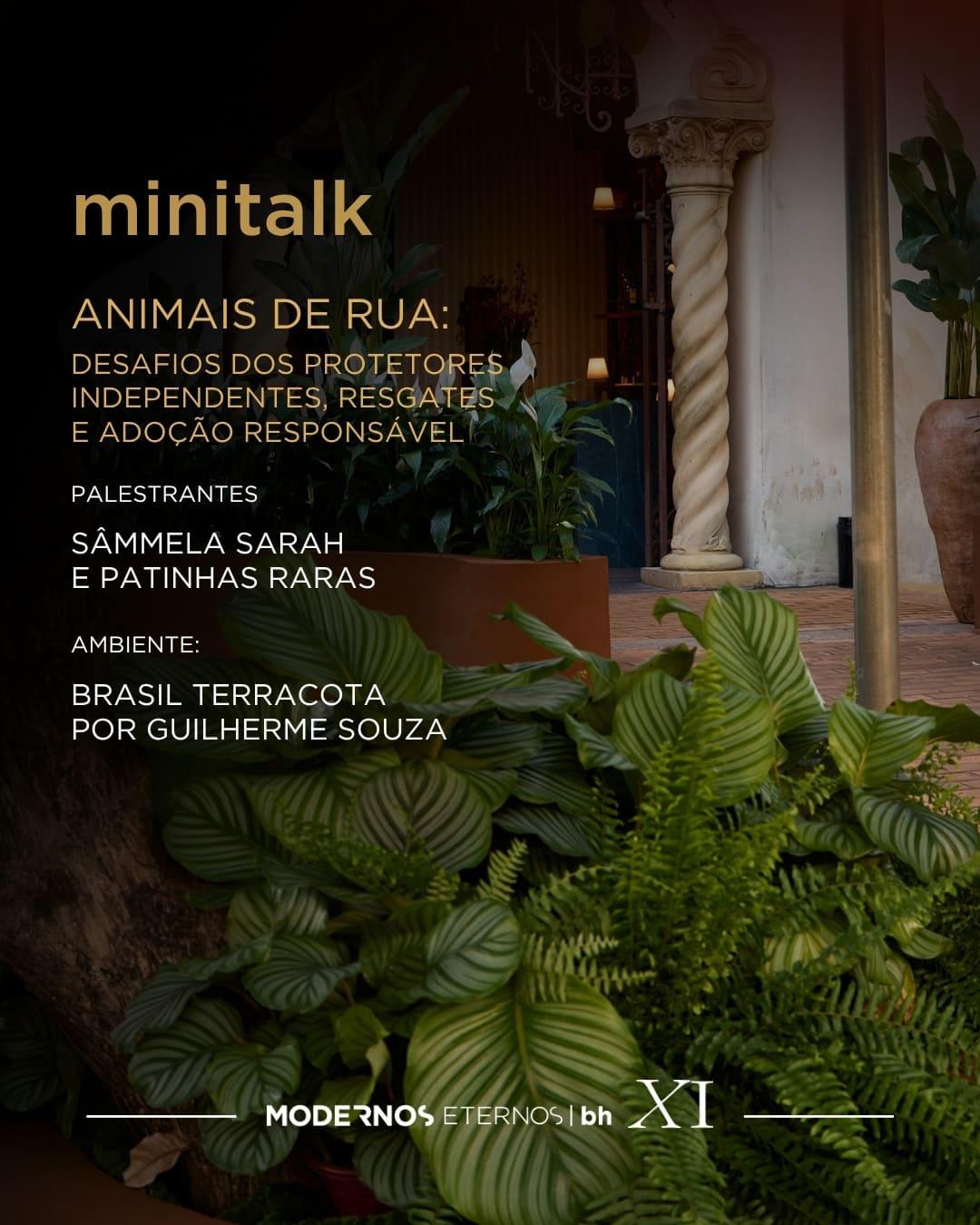 07/07 - Animais de rua: desafios do protetores independentes , resgates e adoção responsável