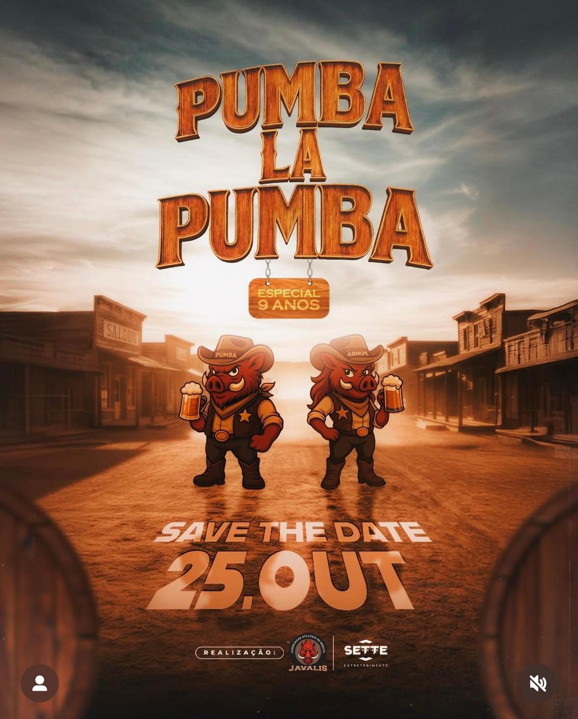 DIREITO MULTIVIX - PUMBA LA PUMBA 