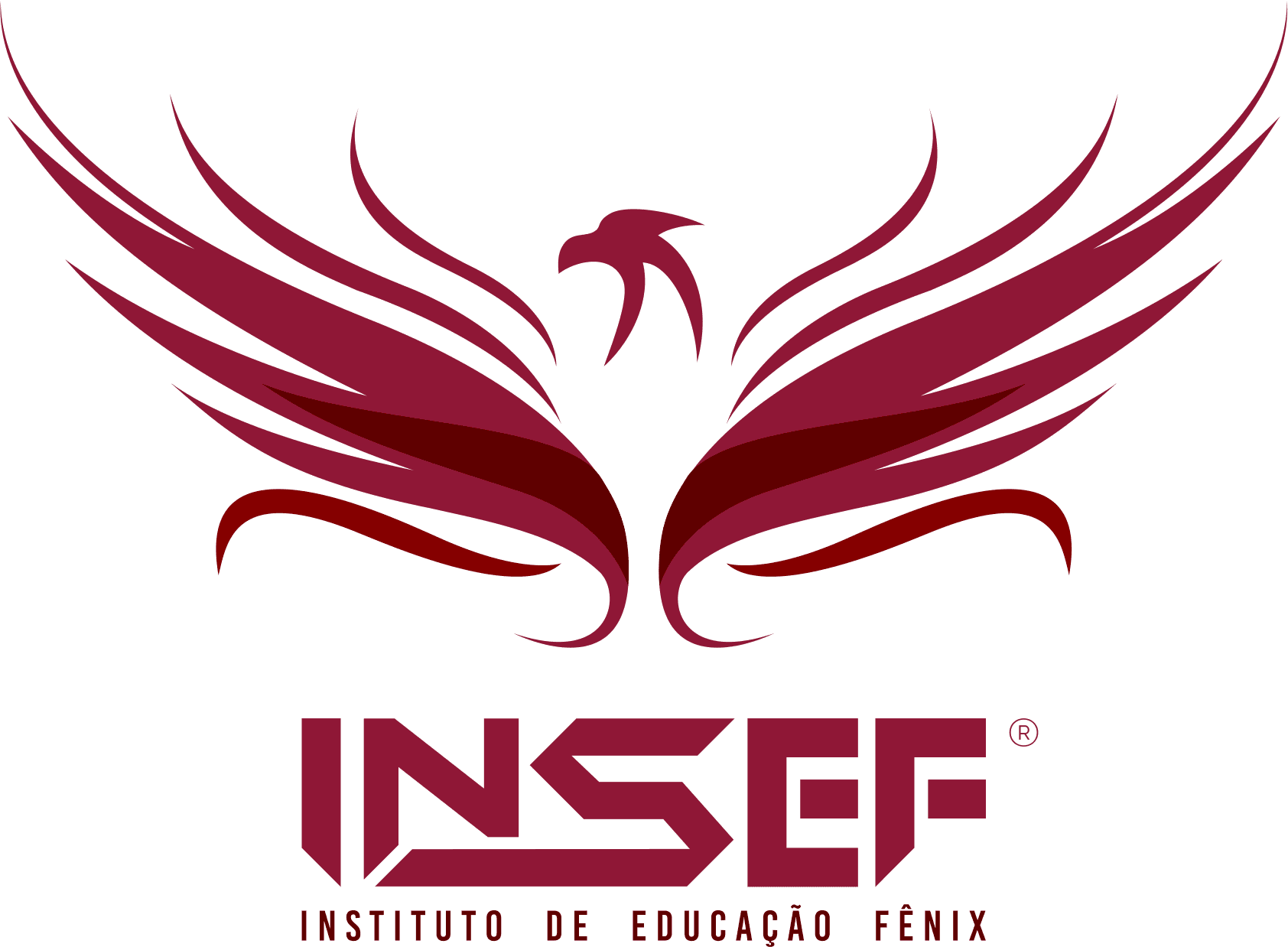 INSEF 21/06