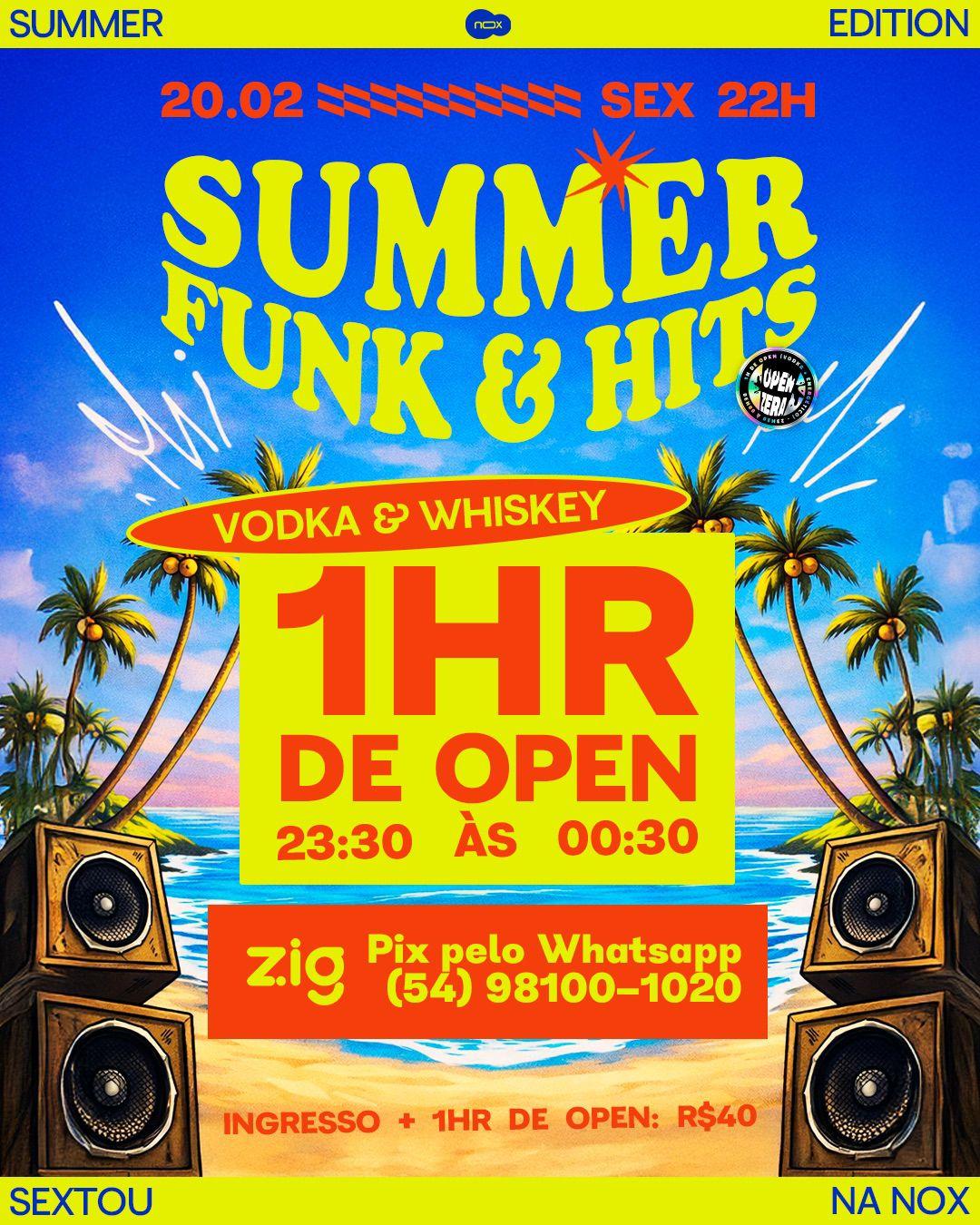 SUMMER FUNK E HITS