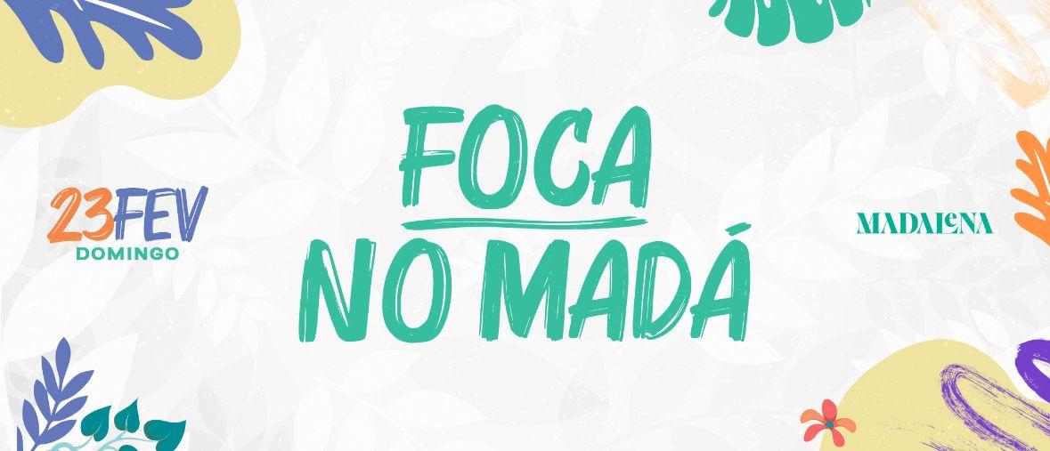 Foca no Madalena