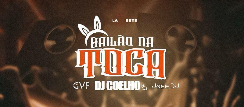BAILÃO NA TOCA 